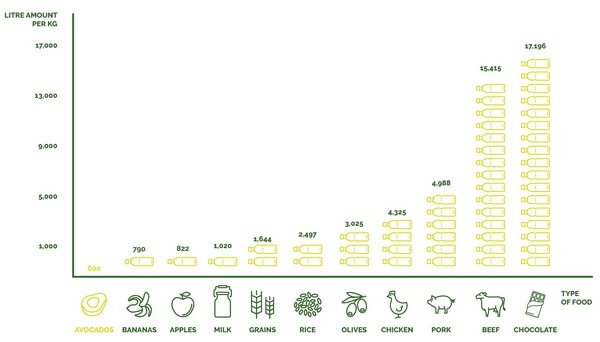 Avocado Water Consumption